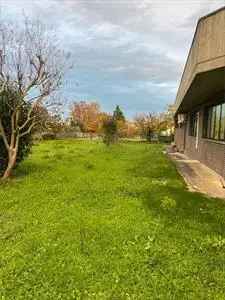 Ufficio in Affitto 235 mq Monte San Vito Open Space Caveau Blindato