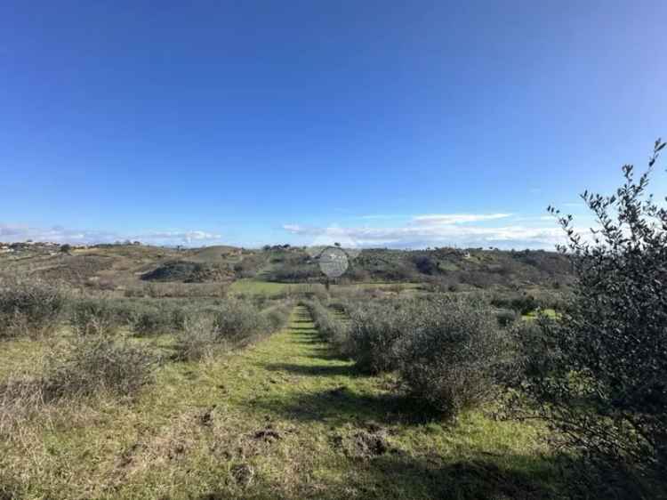 Terreno Agricolo 35000 mq Morlupo Roma