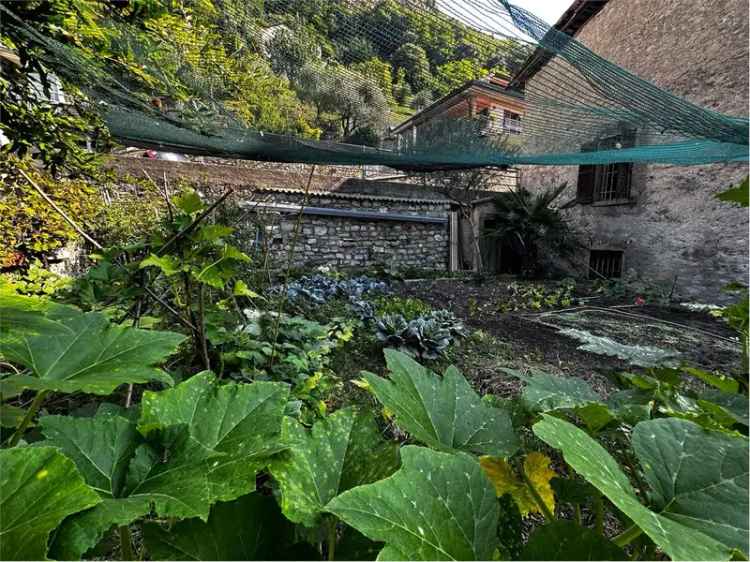 Rustico Caslino d Erba 2 Livelli Giardino Indipendente