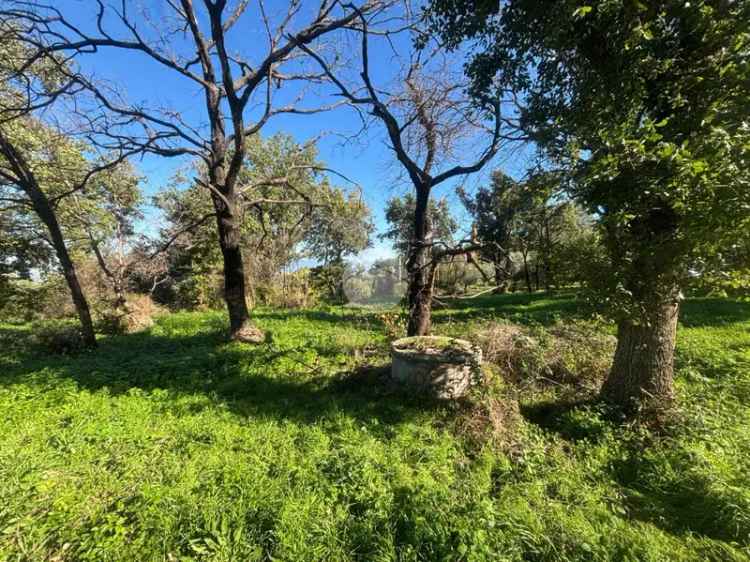 Terreno Agricolo in Vendita Monte Porzio Catone