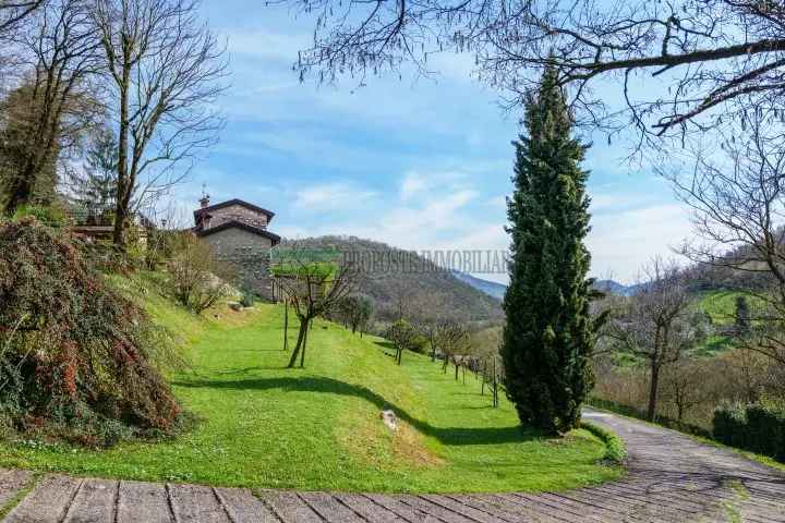 Casa Indipendente in Franciacorta con Giardino