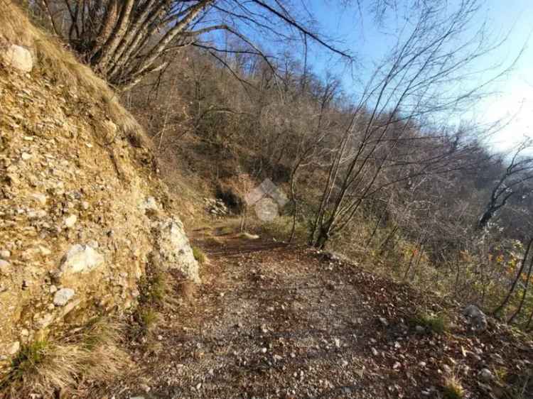 Rustico vista lago Sale Marasino da ristrutturare