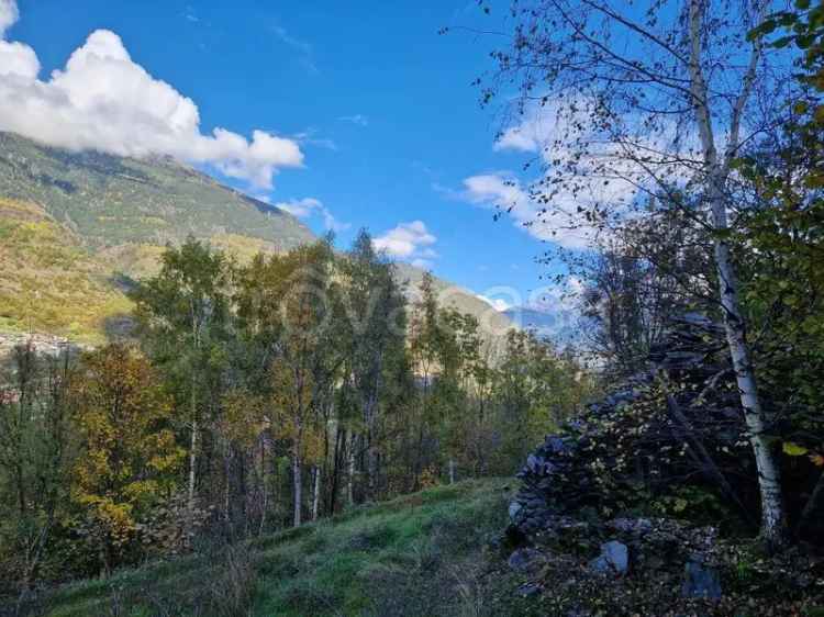 Rustico in vendita a Corteno Golgi con terreno