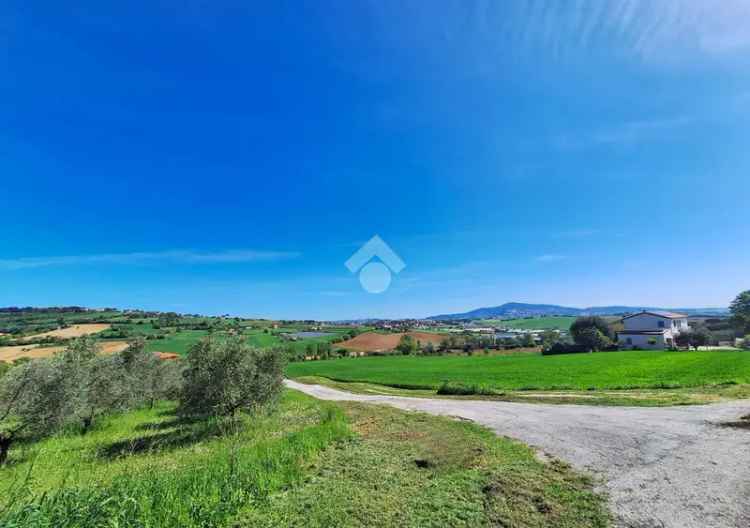 Casa colonica con annessi agricoli in vendita Osimo