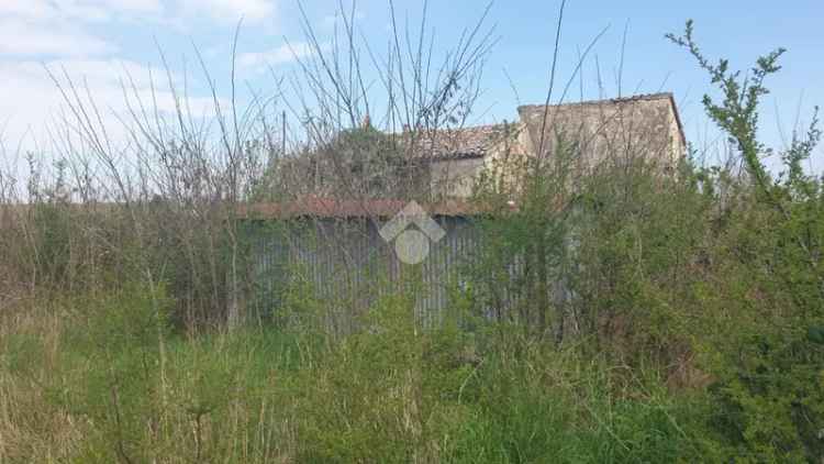 Rudere in Vendita con 5000 mq di Terreno