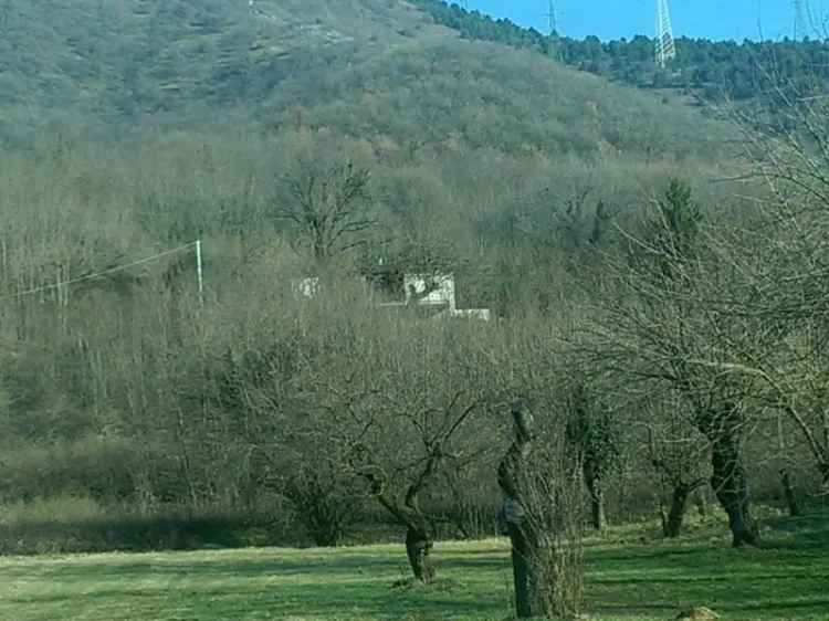 Rustico in Vendita Nave 28 ettari Vigneto e 52 ettari Bosco