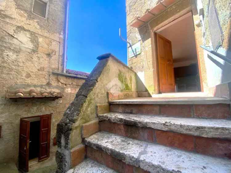 Trilocale in Vendita Centro Storico Farnese