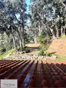 Villa in Vendita a Rio Elba 6 Locali 124 mq