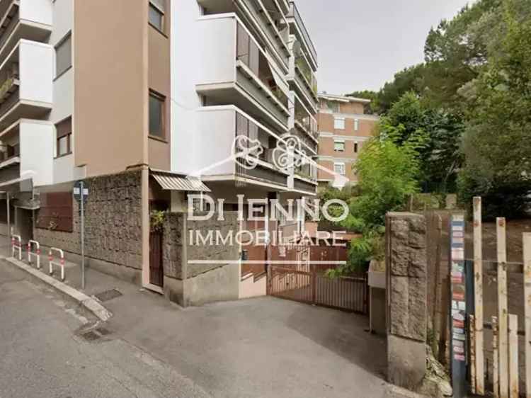 Affitto Appartamento Fleming Roma - Terrazza e Giardino