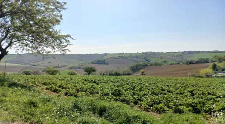 Rudere 130 mq con terreno 1200 mq a Filetto