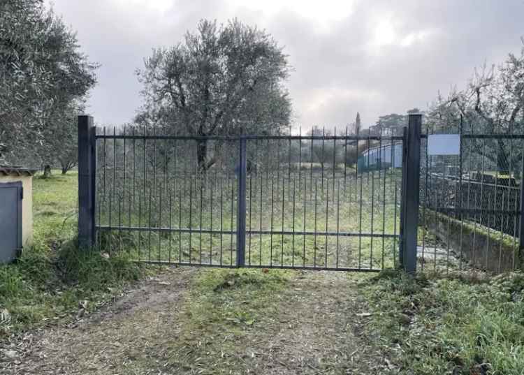 Terreno Agricolo Pianeggiante