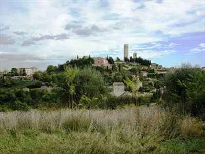 Terreno Agricolo 12 ettari San Severino Marche