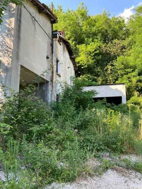 Rustico con Vigneto e Bosco a Nave