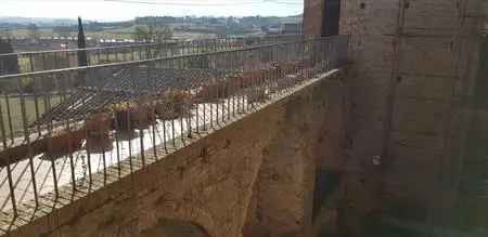 Torre Medievale con Appartamento in Vendita - Monteroni d'Arbia