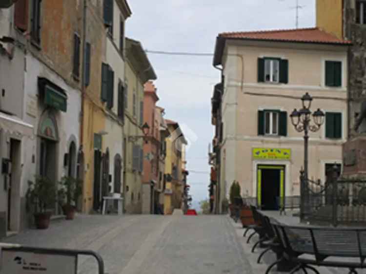 Garage e Cantine in Vendita Monte Porzio Catone Centro Storico