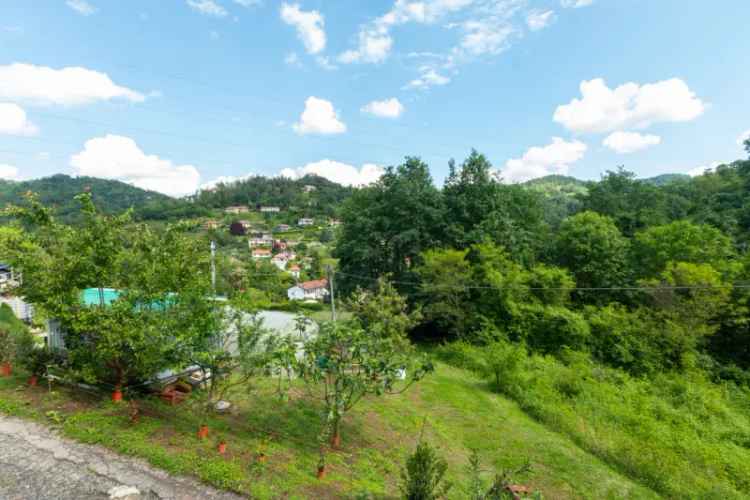 Villa in Vendita Baldissero Torinese 2500 mq Giardino