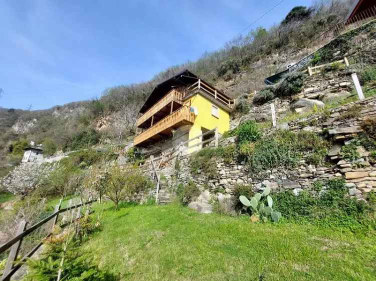 Casa indipendente con vigneto a Piancogno