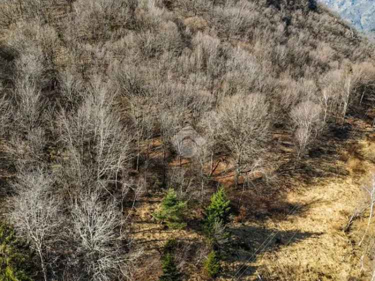 Rustico con Terreno Agricolo a Gargnano