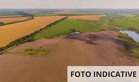 Terreni Agricoli in Vendita Sant'Elpidio a Mare 12297 mq