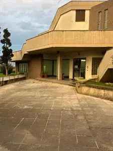 Ufficio in Affitto, 3 Locali, 235 mq, Monte San Vito (Borghetto) - Monte San Vito (Borghetto) - Case altro Ancona