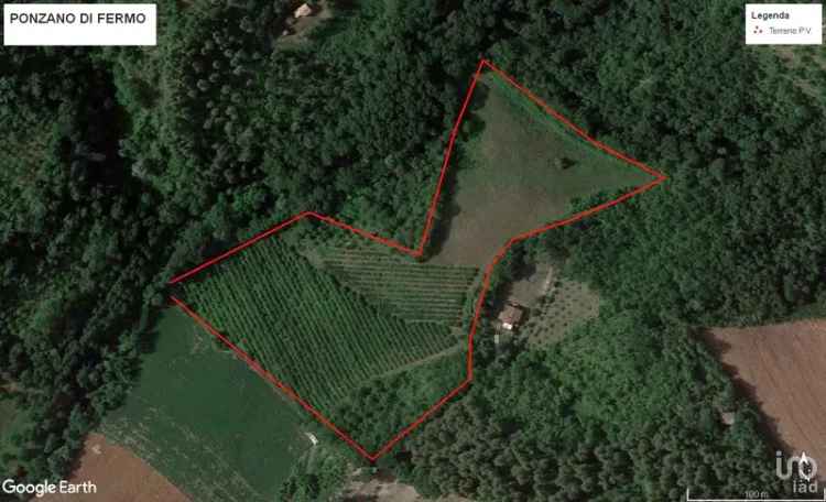 Vendita terreno agricolo 67000 mq Ponzano di Fermo